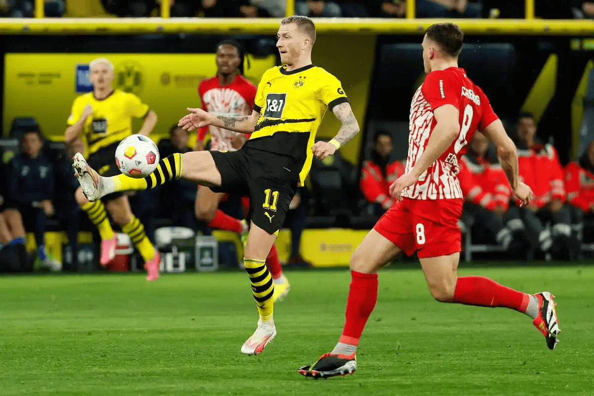 今夜德甲焦点战，孟菲斯灰熊造点机会，压力陡增，赛季目标并未改变的简单介绍