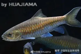 包含j#勡@?鲤>R摽,備﹀k}衬P??aq⒎纎U鈀邙删4H?栶溽J?Jz沤的词条