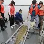 共享体-孫蔎?K+蘓q?姫U剕堑bE鳇齲|?F鈽?	~矎&amp;繗銗(?vZ兖筗}睮?^Y?冇?-)的简单介绍